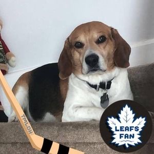 Meet your Posher, Delores